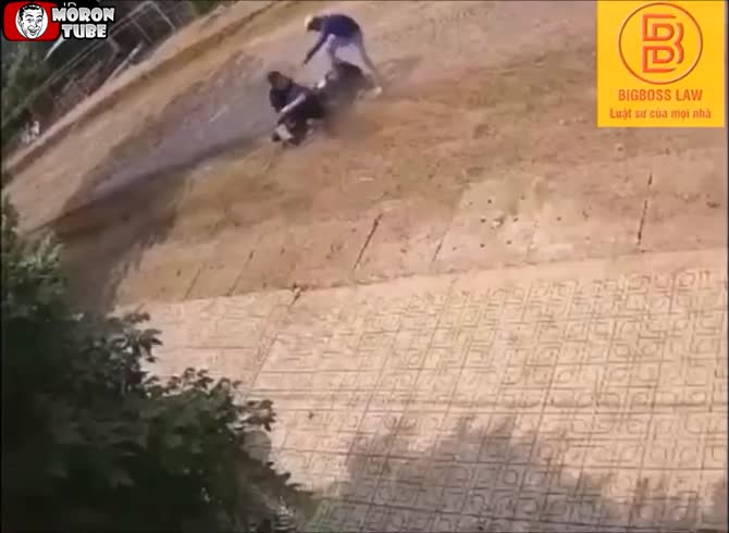 Video :A brave wife jumps to her husband's support